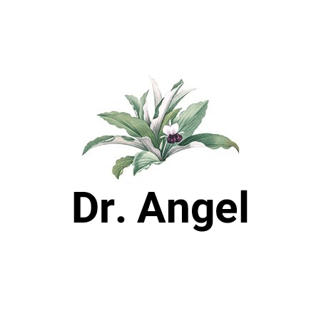 Dr. Angel